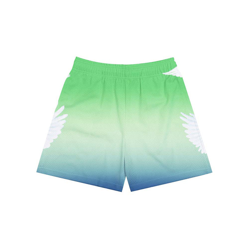 STBI Double Mesh Shorts – Peace Dove Print × Gradient Sky × Street Ball Fit