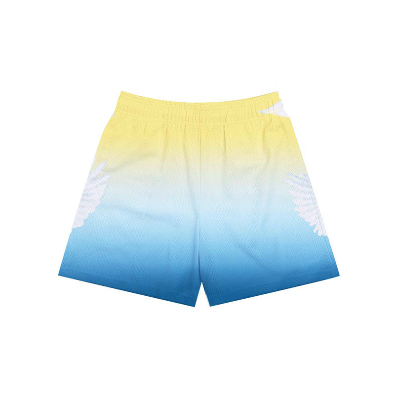 STBI Double Mesh Shorts – Peace Dove Print × Gradient Sky × Street Ball Fit